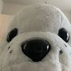 jennyelizabe241